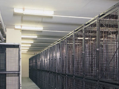 Secured wire mesh storage lockers