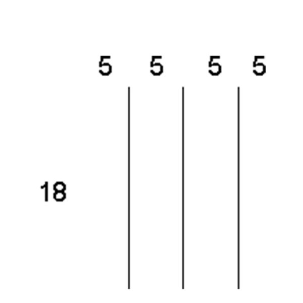 Partitions & Dividers Proposal, 4 Comp. (24"W x 21"D x 5"H)